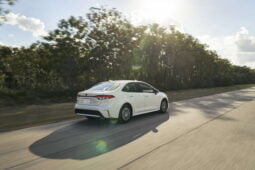 Toyota Corolla Híbrido lleno