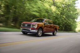 Ford F-150 Platinum lleno
