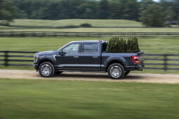 Ford F-150 Platinum lleno