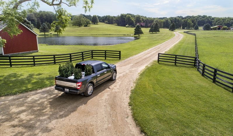 Ford F-150 Platinum lleno