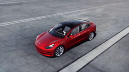 Tesla Model 3 Performance lleno