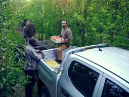 Peugeot Landtrek Action lleno
