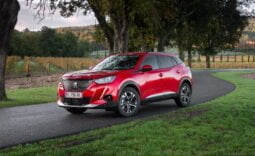 Peugeot 2008 Allure lleno