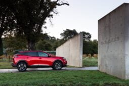 Peugeot 2008 Allure lleno