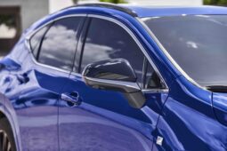 Lexus NX F Sport lleno