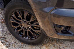 Ford Ranger FX4 lleno