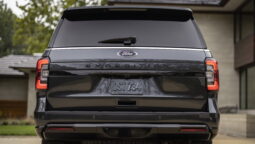 Ford Expedition Stealth lleno
