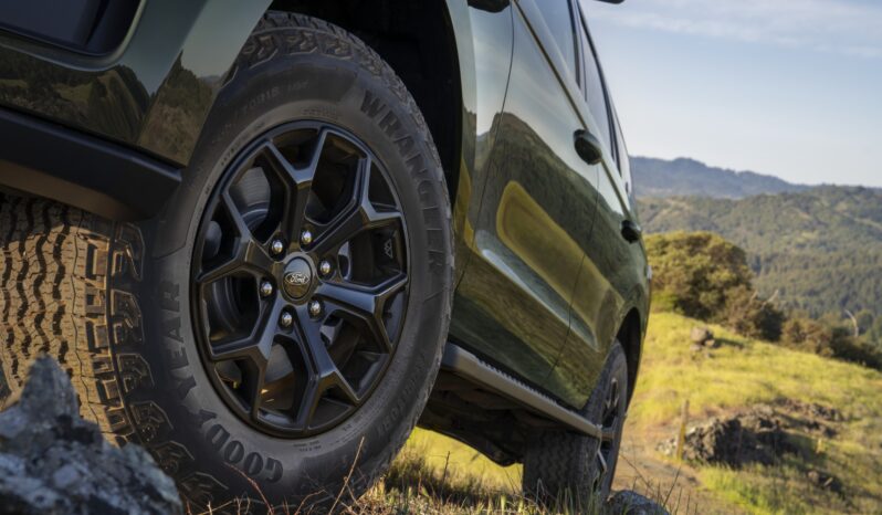 Ford Expedition Timberline lleno