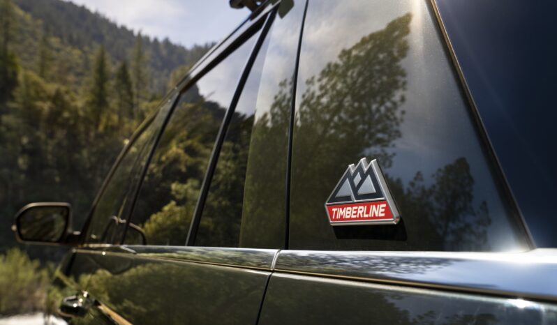 Ford Expedition Timberline lleno