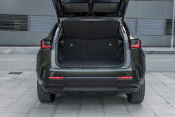 Lexus NX Executive lleno