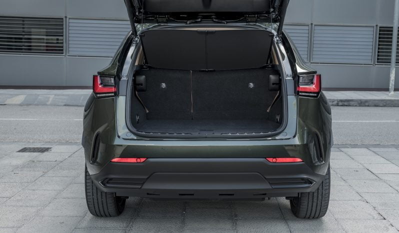 Lexus NX Executive lleno