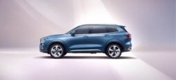 Ford Territory: Trend lleno