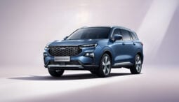 Ford Territory: Trend lleno