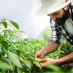 Ford anuncia convocatoria para la edición 21 de su programa Donativos Ambientales Ford