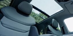Ford Territory: Trend lleno