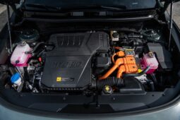Kia Niro: Híbrido (HEV) Limited lleno