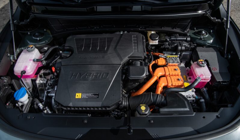 Kia Niro: Híbrido (HEV) Limited lleno
