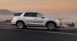 Hyundai Palisade: Gasolina lleno