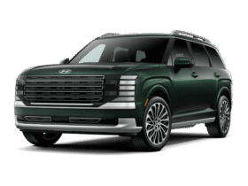 Hyundai Palisade: Calligraphy