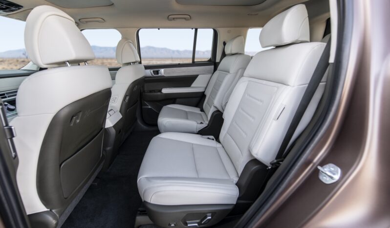 Hyundai Santa Fe: GL Plus lleno