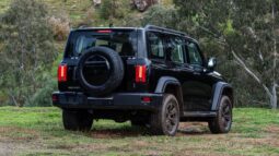 GWM Tank 300: MID lleno