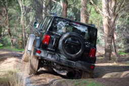 GWM Tank 300: MID lleno