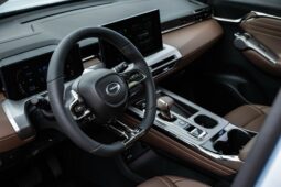GAC GS4 Max lleno