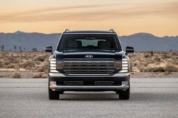 Hyundai Palisade: Calligraphy lleno
