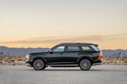 Hyundai Palisade: Calligraphy lleno