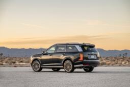 Hyundai Palisade: Calligraphy lleno