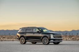 Hyundai Palisade: Calligraphy lleno
