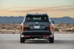 Hyundai Palisade: Calligraphy lleno