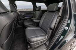Hyundai Palisade: Calligraphy lleno