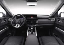 Mitsubishi Destinator: P-Line lleno