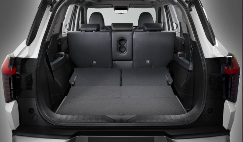 Mitsubishi Destinator: P-Line lleno