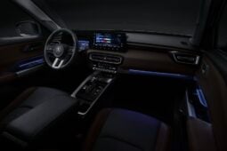 Mitsubishi Destinator: P-Line lleno