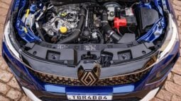 Renault Kardian: Iconic lleno